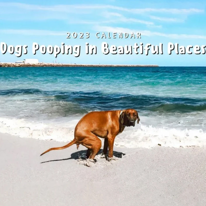 2024 Pooping Pooches Dog Calendar