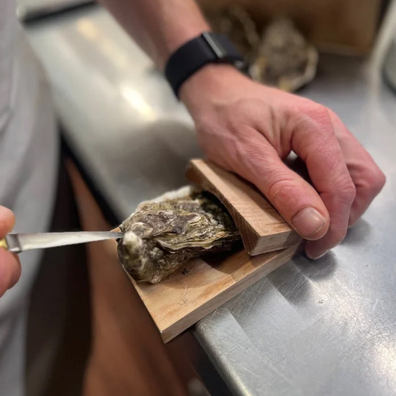 🦪Oyster Shucking Clamp