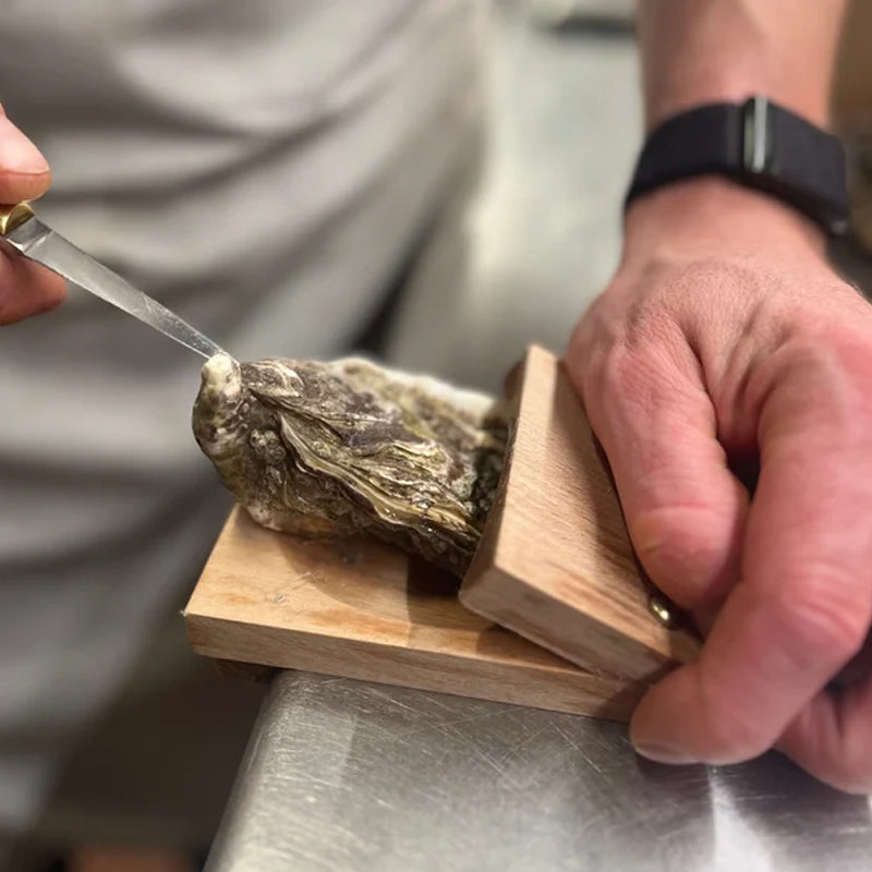🦪Oyster Shucking Clamp