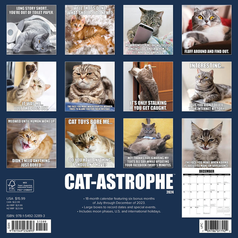 Cat-Astrophe 2024 Wall Calendar
