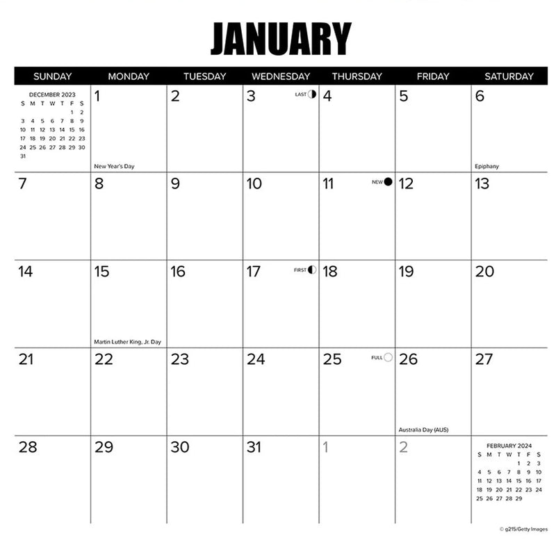 Cat-Astrophe 2024 Wall Calendar