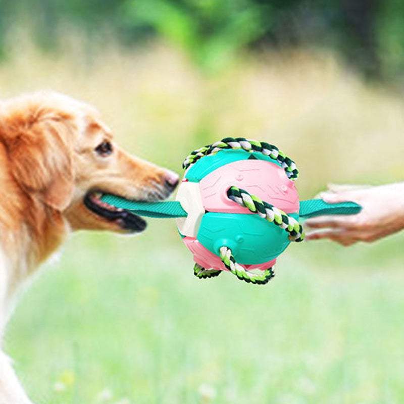 Idearock Dog Toy Balls Ufo Magic Ball